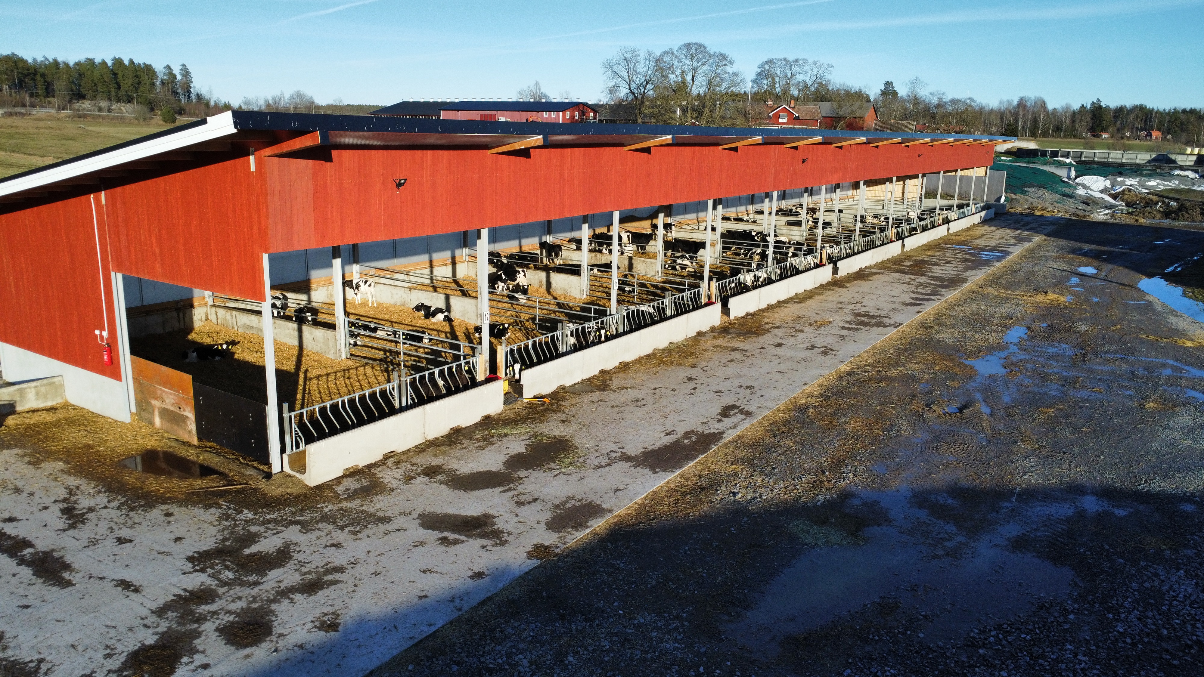 Bygge kalvstall 2025