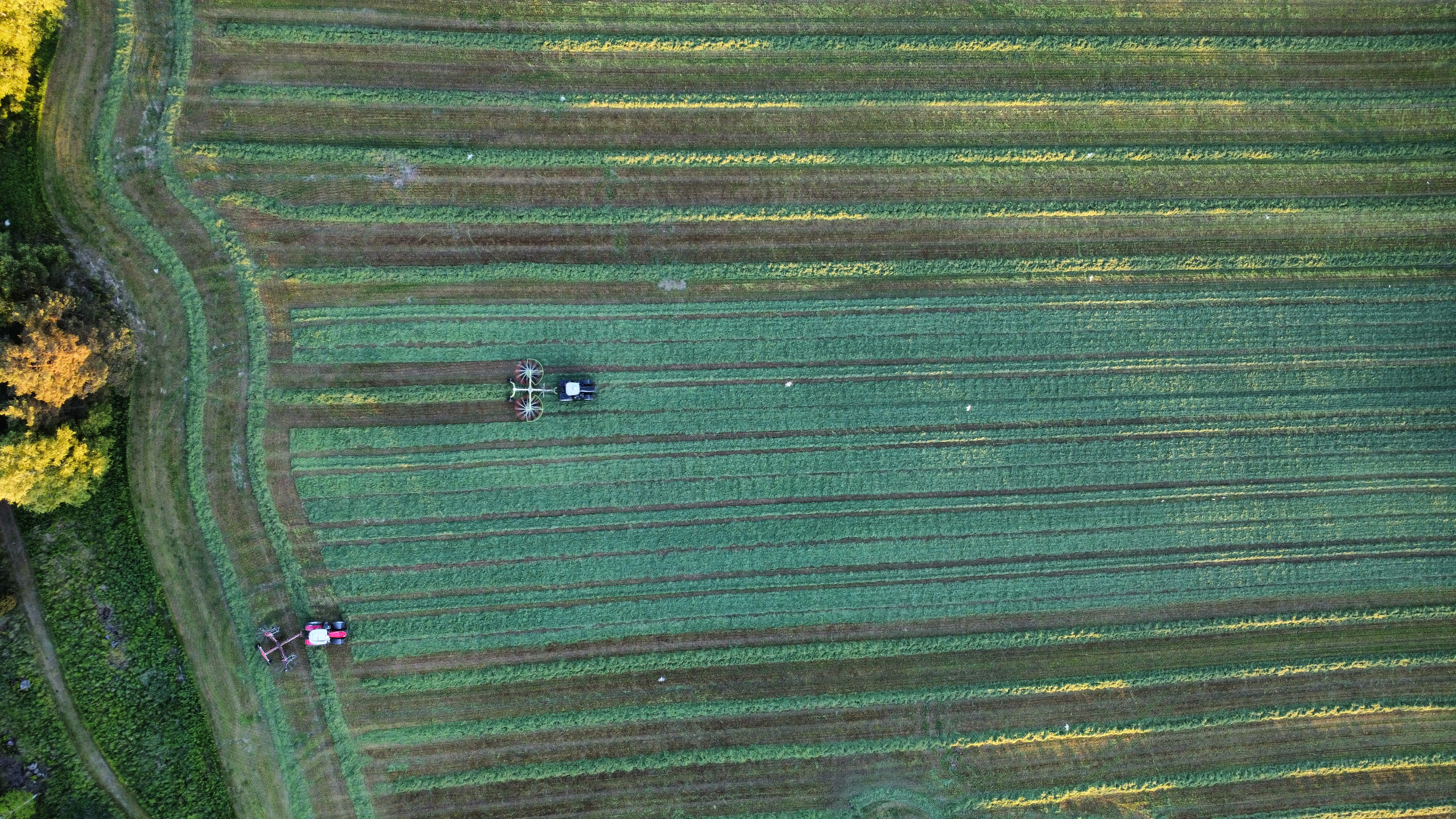 Flygfoto strängläggning 2025
