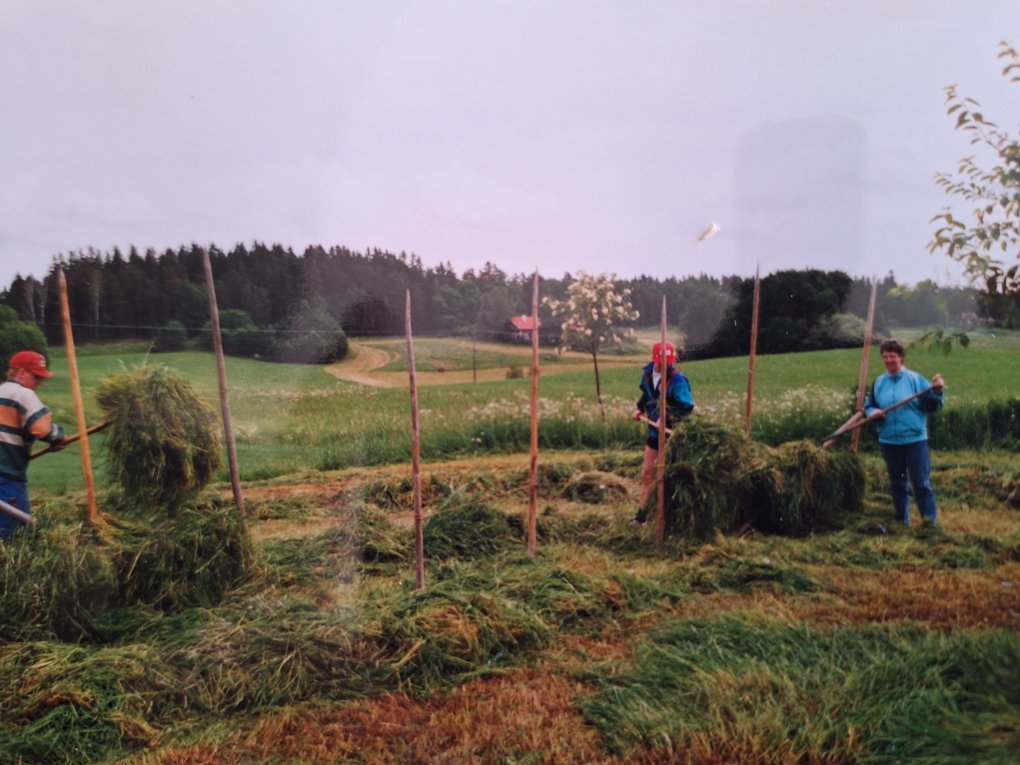 Hässja hö