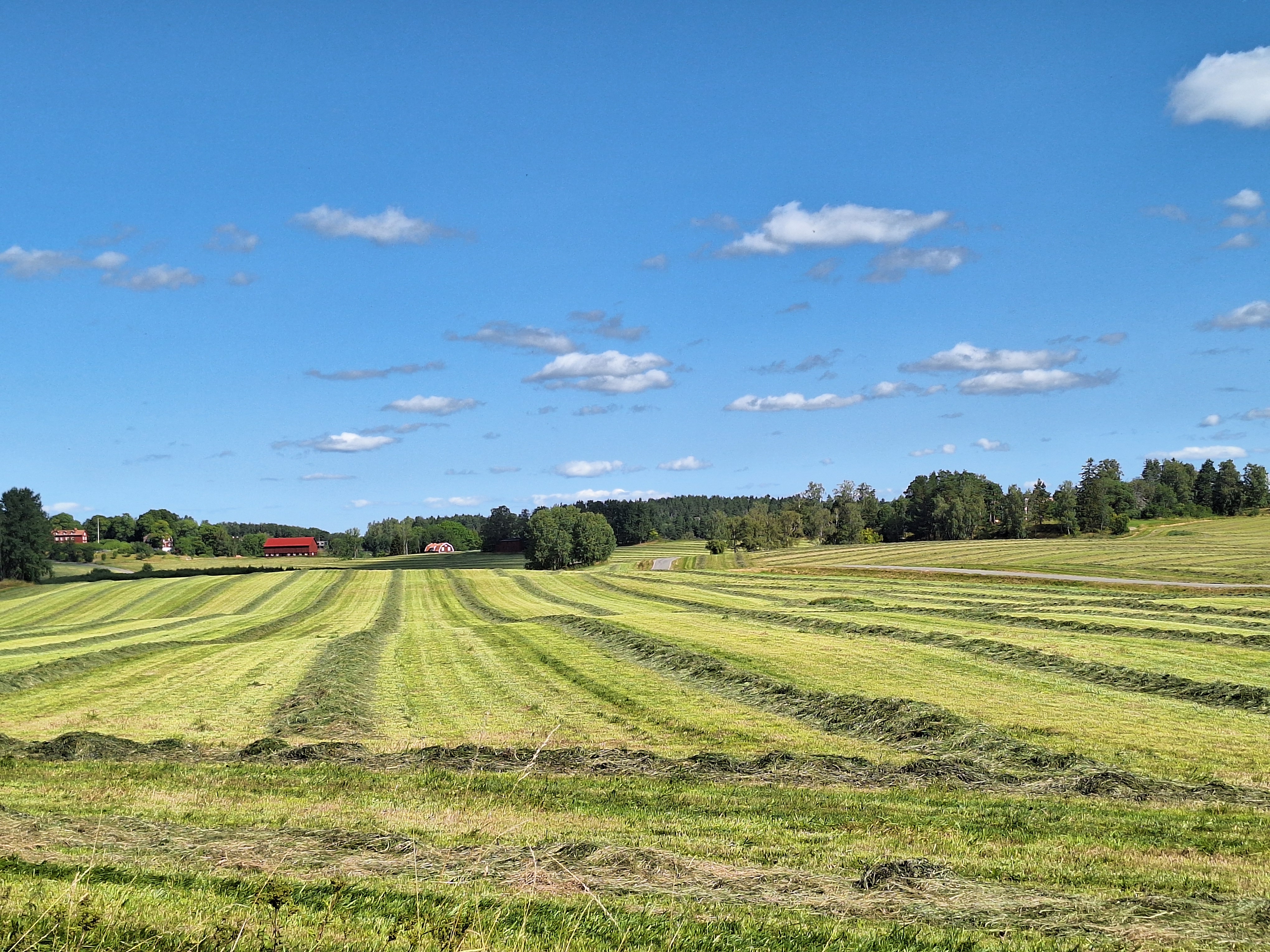 Slåtter med precisionsodling