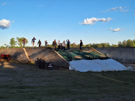 Täckning av plansilo